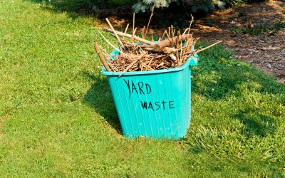 Why Yard Waste Can Be Beneficial